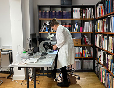 Der Mikroskoparbeitsplatz